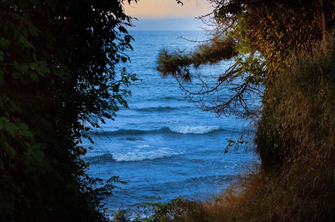 Deniz (Orta).jpg
