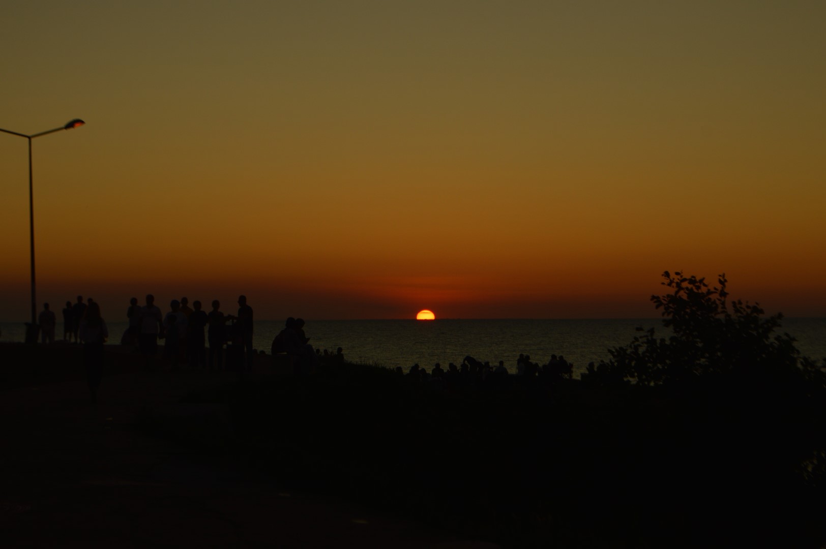 DSC_0040 (Büyük).JPG