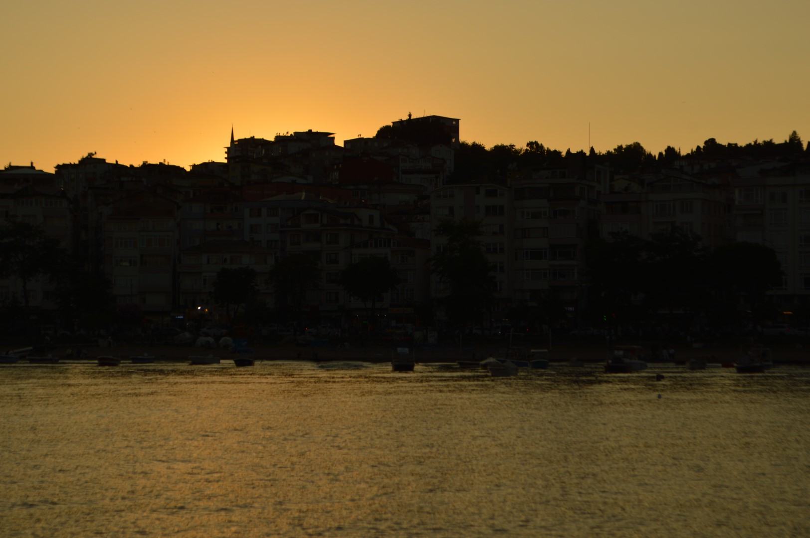 DSC_0337 (Büyük).JPG