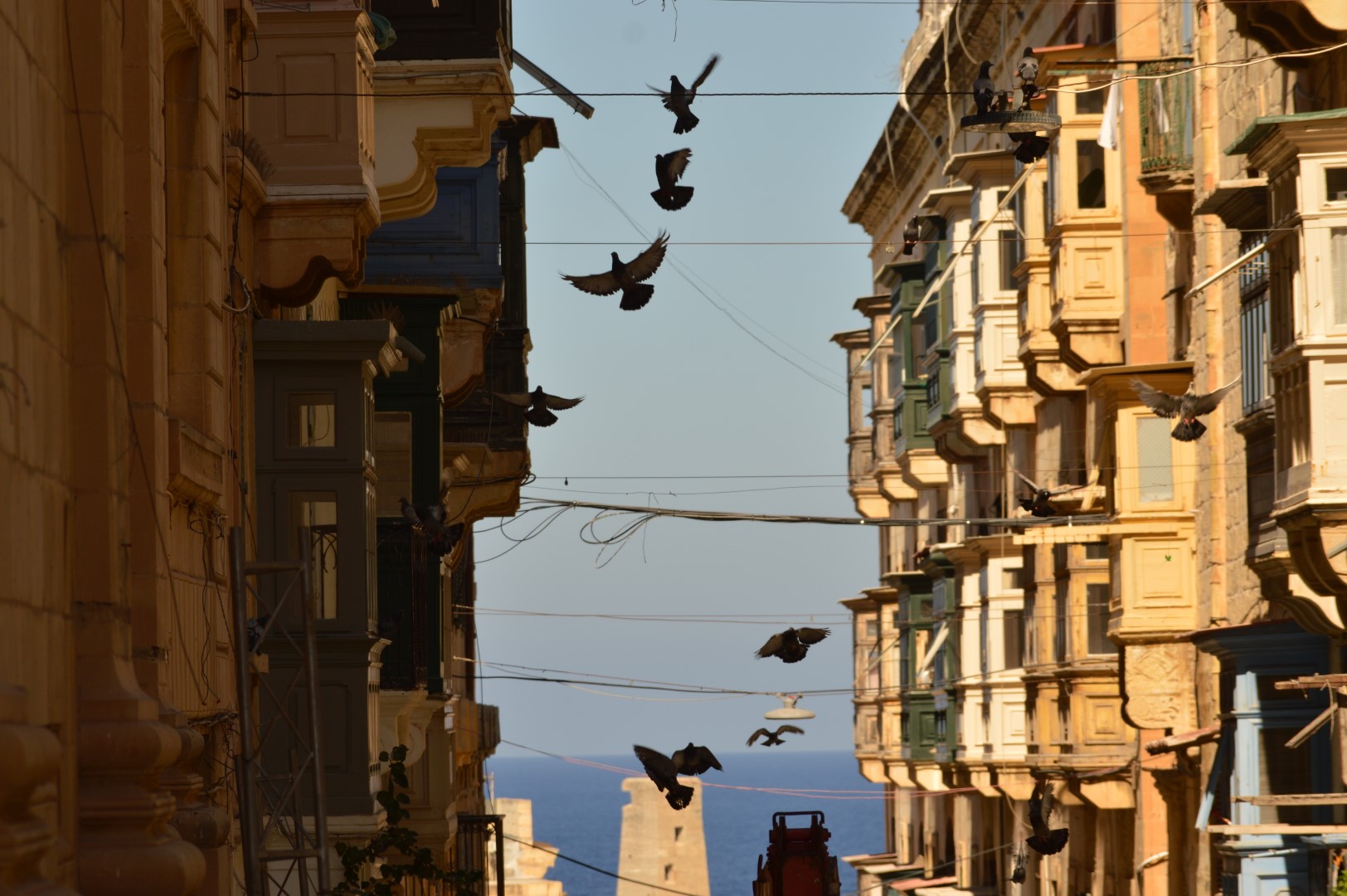 Kuş