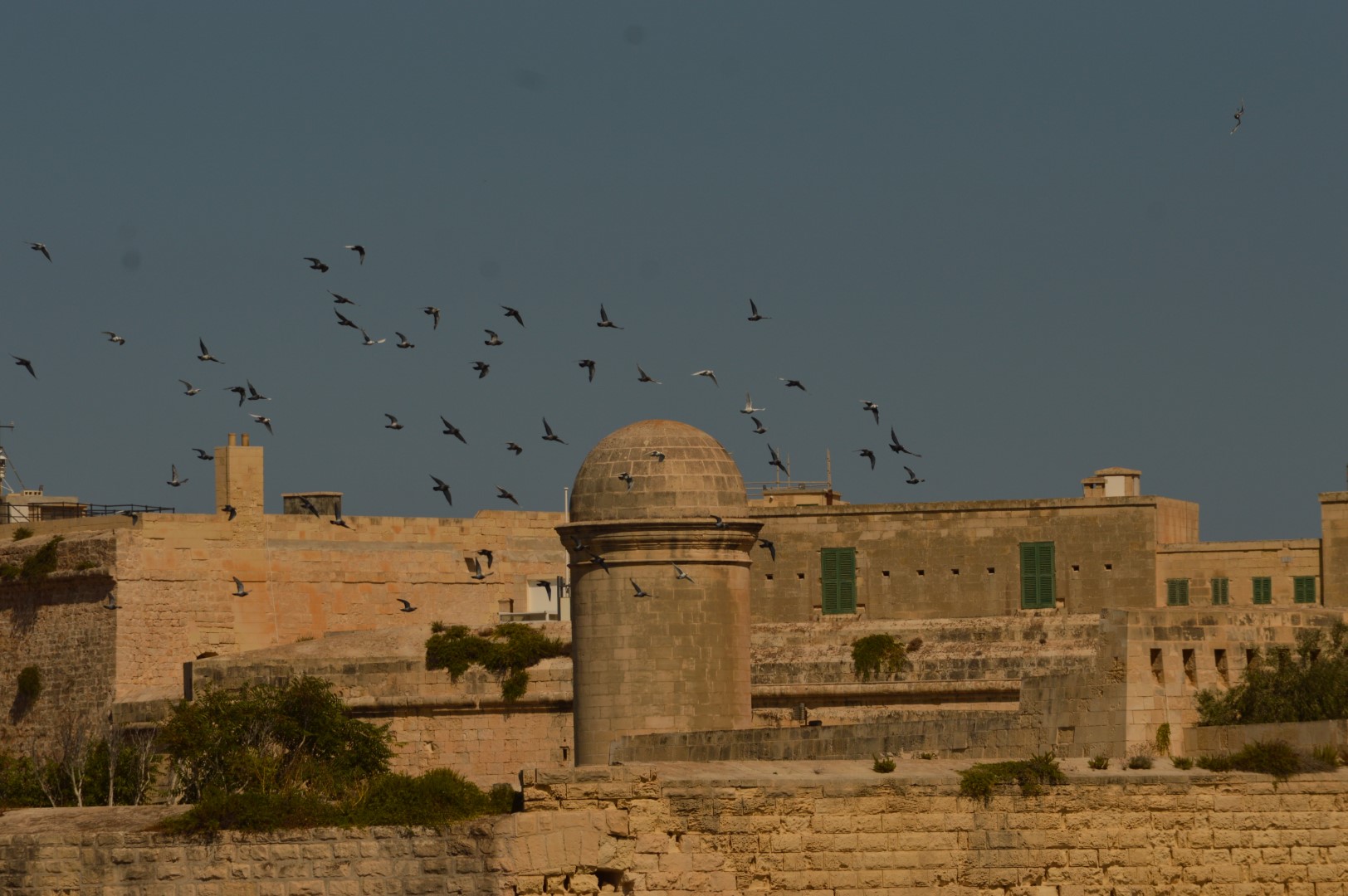 DSC_0195 (Büyük).JPG