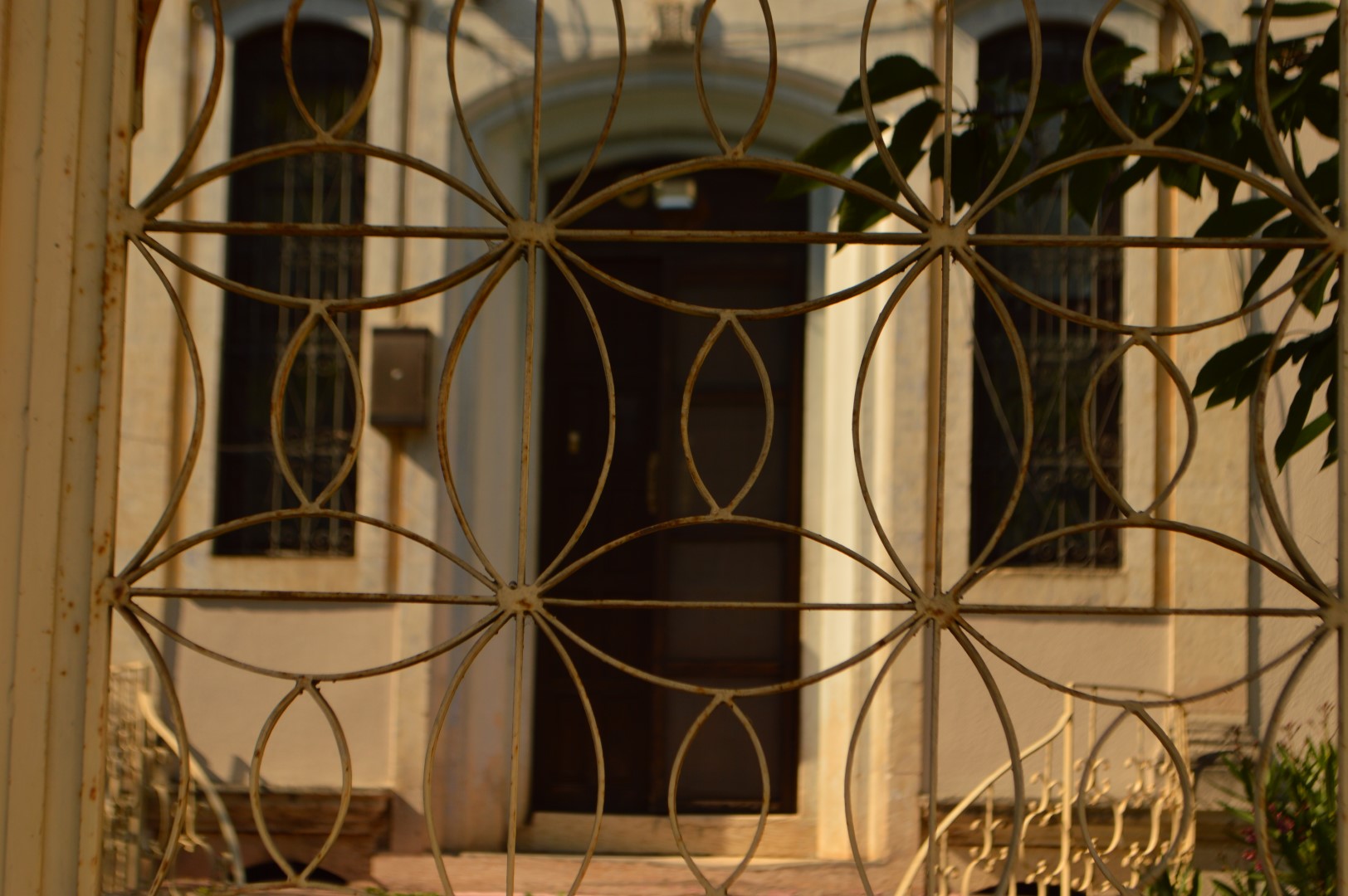 DSC_0126 (Büyük).JPG