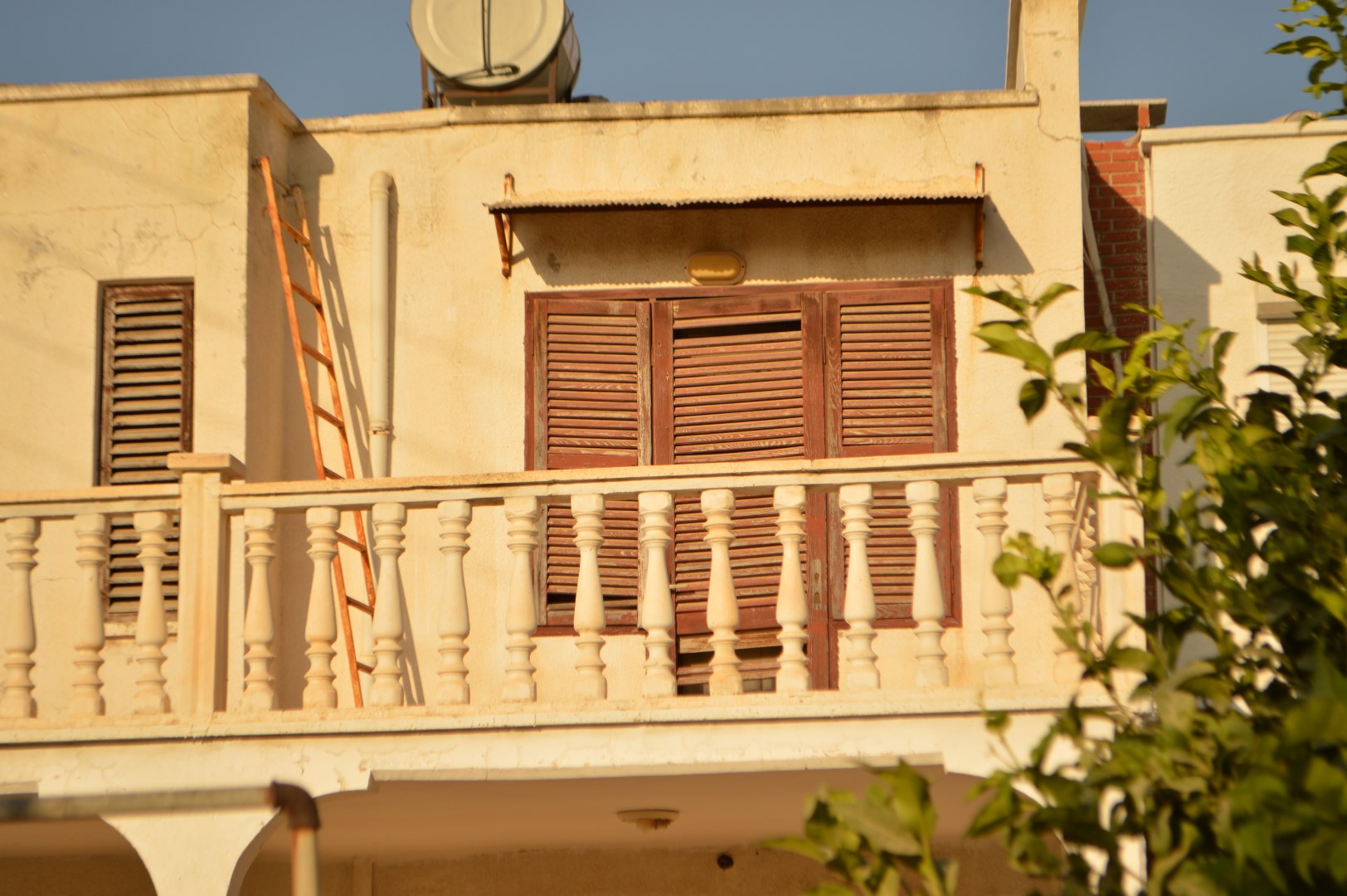 DSC_0145 (Büyük).JPG