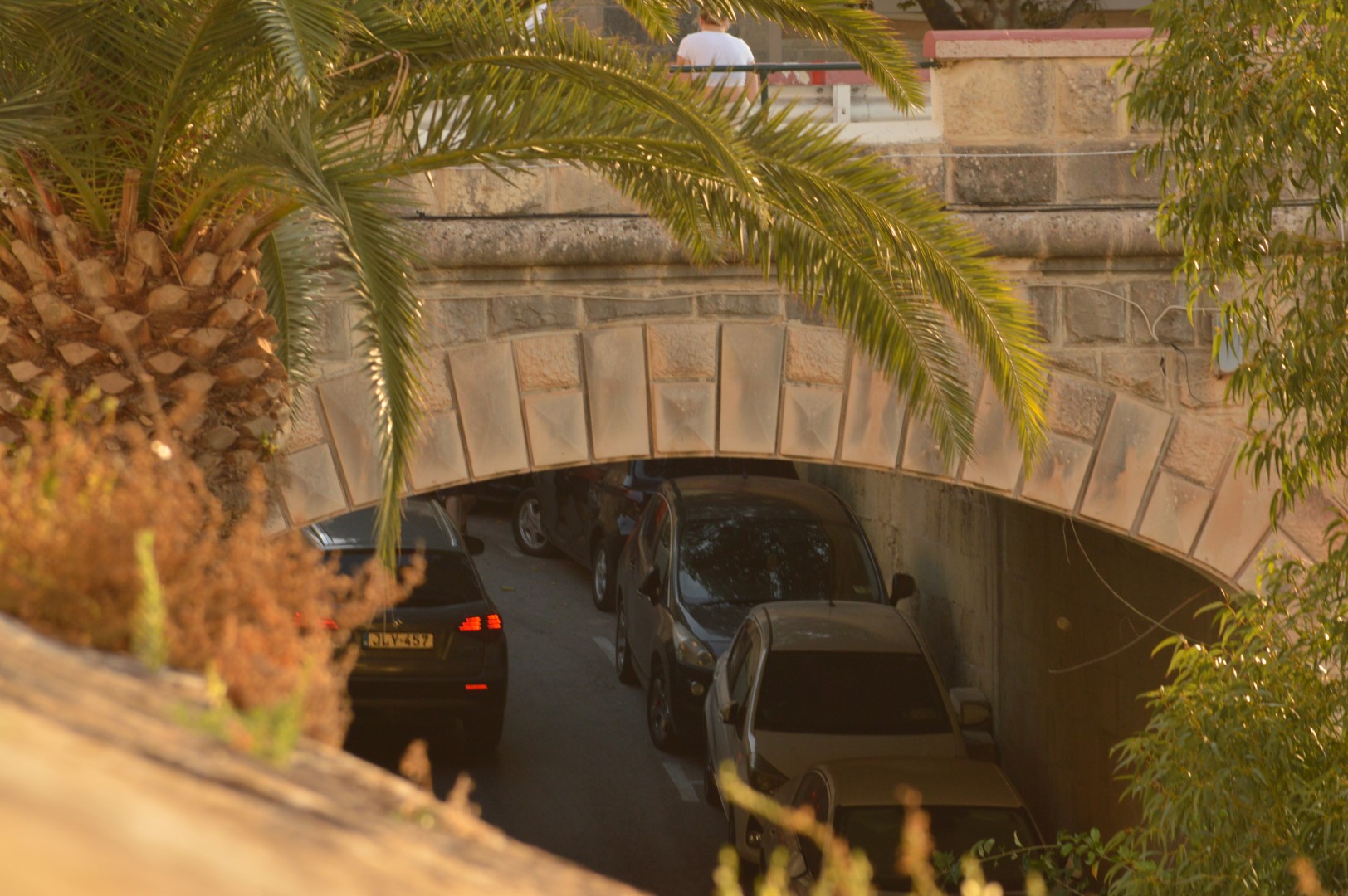 DSC_0340 (Büyük).JPG