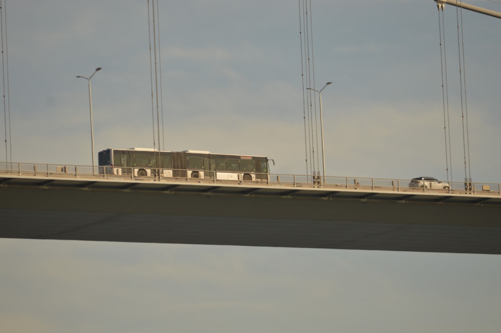 DSC_0368 (Büyük).JPG