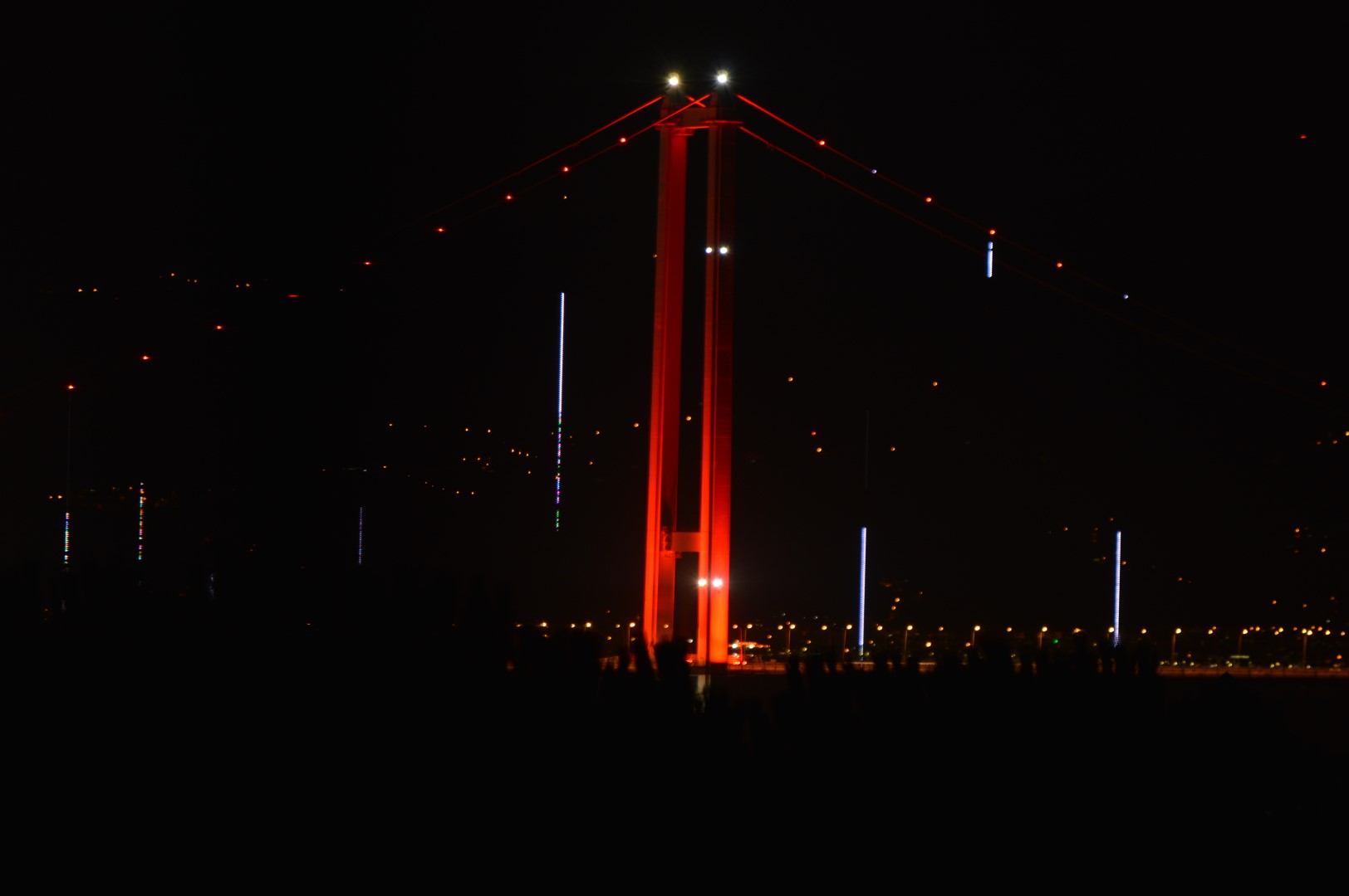 DSC_0480 (Büyük).JPG