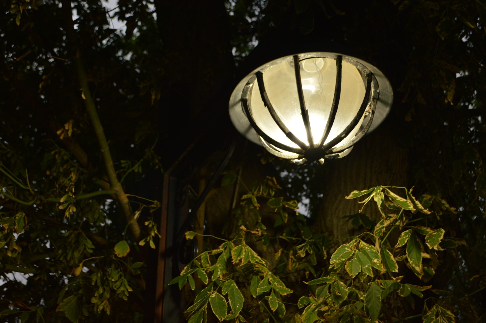 DSC_0877 (Büyük).JPG